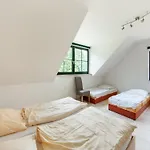 Spacious Semi-detached House With Wood Stove Located Directly On The Rennsteig