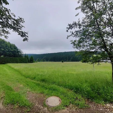 Spacious Semi Detached House With Wood Stove Located Directly On The Rennsteig Holiday home *