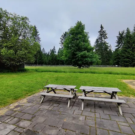 Spacious Semi Detached House With Wood Stove Located Directly On The Rennsteig Holiday home