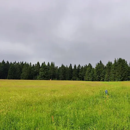 Spacious Semi Detached House With Wood Stove Located Directly On The Rennsteig Holiday home