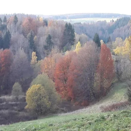 Holiday home Spacious Semi Detached House With Wood Stove Located Directly On The Rennsteig *