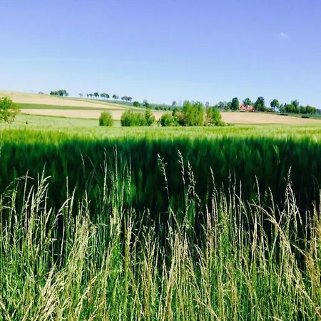 Spacious Semi-detached House With Wood Stove Located Directly On The Rennsteig Eisfeld