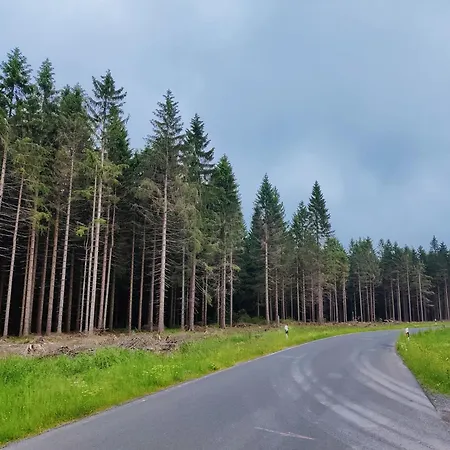 Spacious Semi-detached House With Wood Stove Located Directly On The Rennsteig Tatil Evi