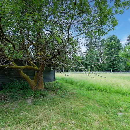 Tatil Evi Spacious Semi-detached House With Wood Stove Located Directly On The Rennsteig Eisfeld