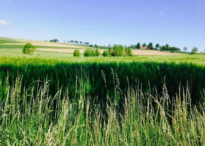 Spacious Semi-detached House With Wood Stove Located Directly On The Rennsteig Eisfeld