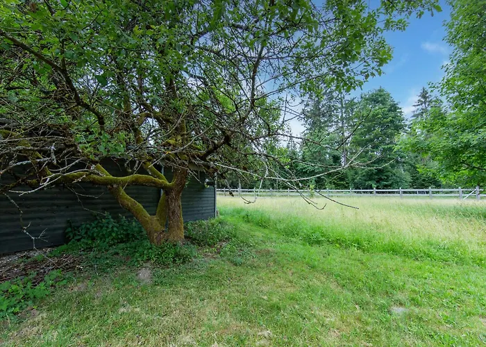 Spacious Semi-detached House With Wood Stove Located Directly On The Rennsteig Vakantiehuis