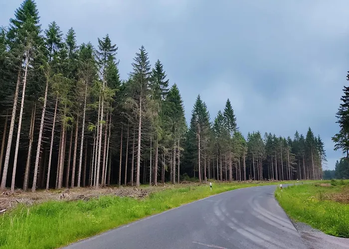 Vakantiehuis Spacious Semi-detached House With Wood Stove Located Directly On The Rennsteig *