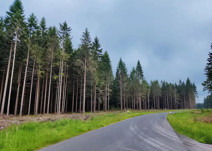 Spacious Semi-detached House With Wood Stove Located Directly On The Rennsteig Vakantiehuis