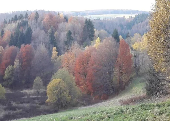 Vakantiehuis Spacious Semi-detached House With Wood Stove Located Directly On The Rennsteig Eisfeld